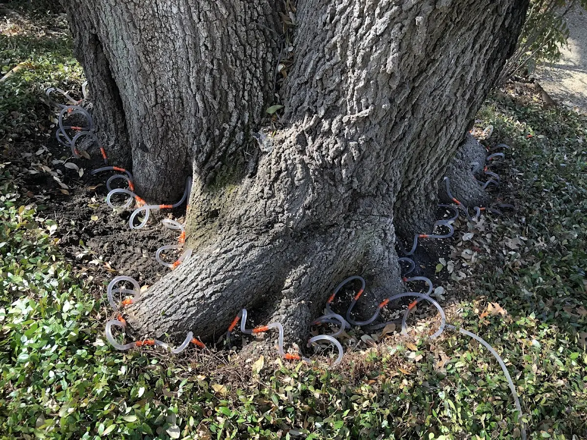 Detailed Shrub and Hedge Trimming job site in Durant